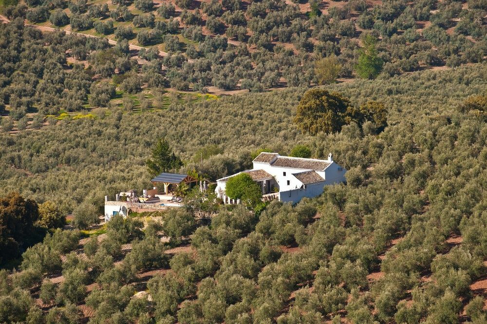 Cortijo La Haza Bed & Breakfast Iznajar Exterior photo